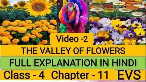 The Valley Of Flowers Class 4 Evs Full Explanation In Hindi Video