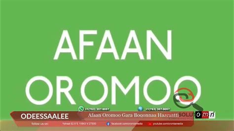 Omn Afaan Oromoo Boqonnaa Haaratti Ceesisuu Youtube