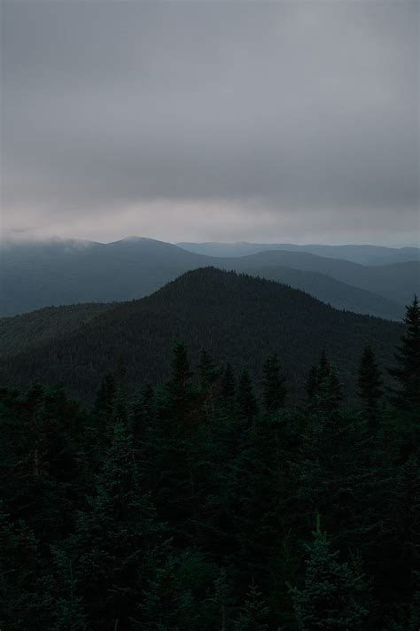 Hills Forest Trees Fog Spruce Hd Phone Wallpaper Peakpx