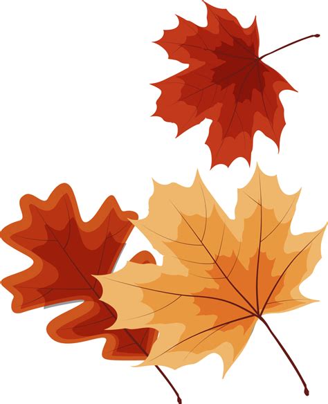 Fall Leaves Png Transparent 2924 Download