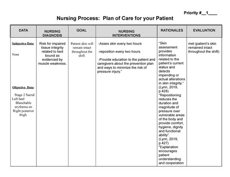 Nursing Care Prioritization Sheet
