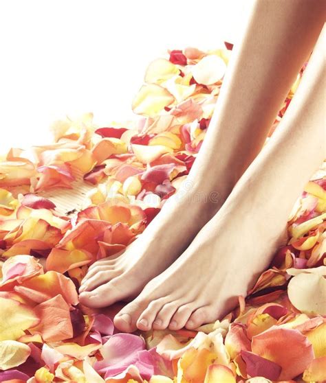 Beautiful Female Feet With Flower Petals Stock Photo Image Of Pink