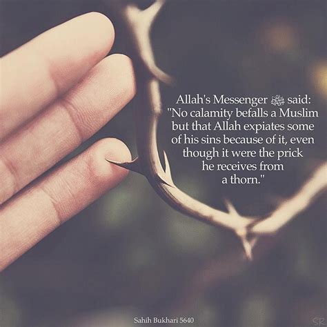 Narrated Aisha Ra Allahs Messenger ﷺ Said No Calamity Befalls