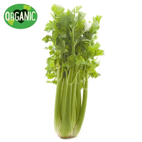Buy Celery Organic From Harris Farm Online Harris Farm Markets