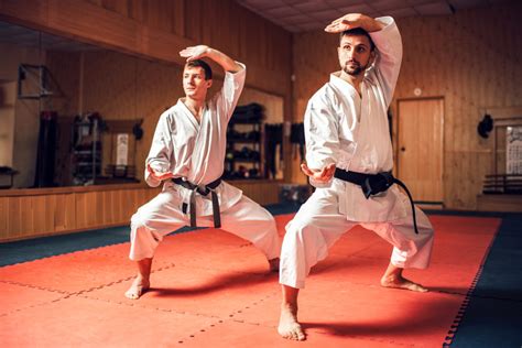 4 те основни карате стила — История на бойните изкуства