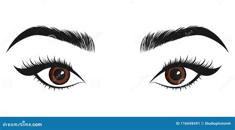 Beautiful Brown Eye Vector Illustration Stock Vector Illustration Of