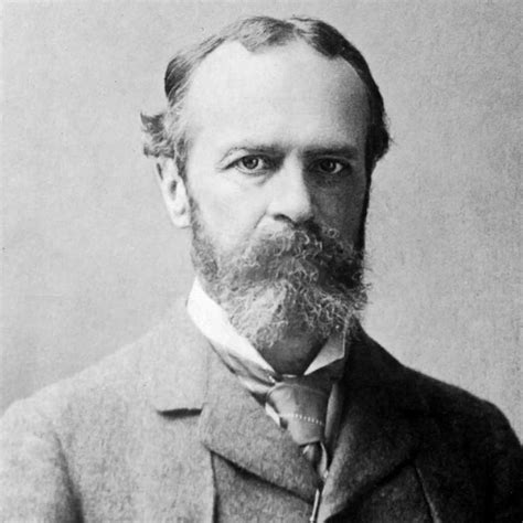 William James Hd Wallpapers William James Photos Fanphobia