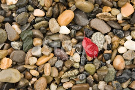 Washed River Rocks Stock Photo Royalty Free Freeimages