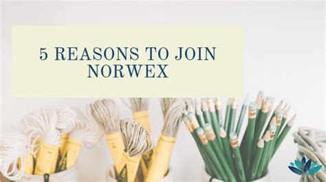 5 Reasons To Join Norwex Succeed And Shine
