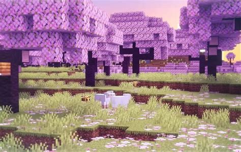 All New Biomes In Minecraft 120 Update