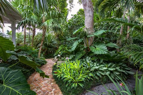 Welcome To The Jungle In This Florida Keys Tropical Garden Tropical