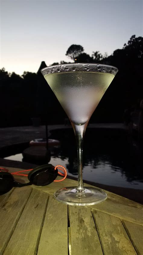 Martini By The Pool Martini Glass Martini Glassware