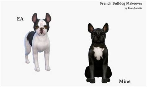 Download Blue Ancolia Sims Pets Sims 4 Pets Sims 4