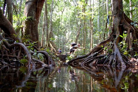 Jungle Marathon: World's Wildest Race | Rainforest Cruises