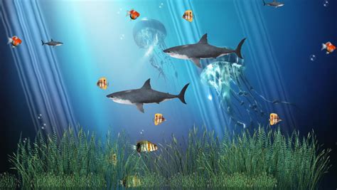 🔥 Download Coral Reef Aquarium Animated Wallpaper By Isabellag14