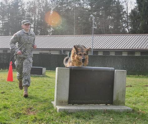 7 พิธีศพของสุนัขทหารสดุดีถึงความภักดีอันยิ่งใหญ่ จนถูกบันทึกไว้ใน