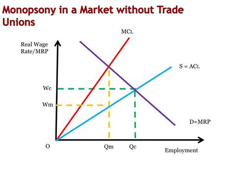 Ppt Monopsony In The Labour Market Powerpoint Presentation Id2993618
