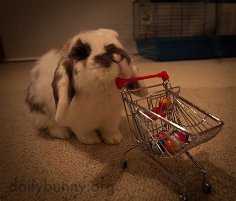 Its The Daily Bunnys Easter 2015 Mega Post Part Two — The Daily Bunny