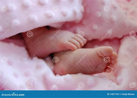 Baby Girl Feet Stock Photos Image 1407193