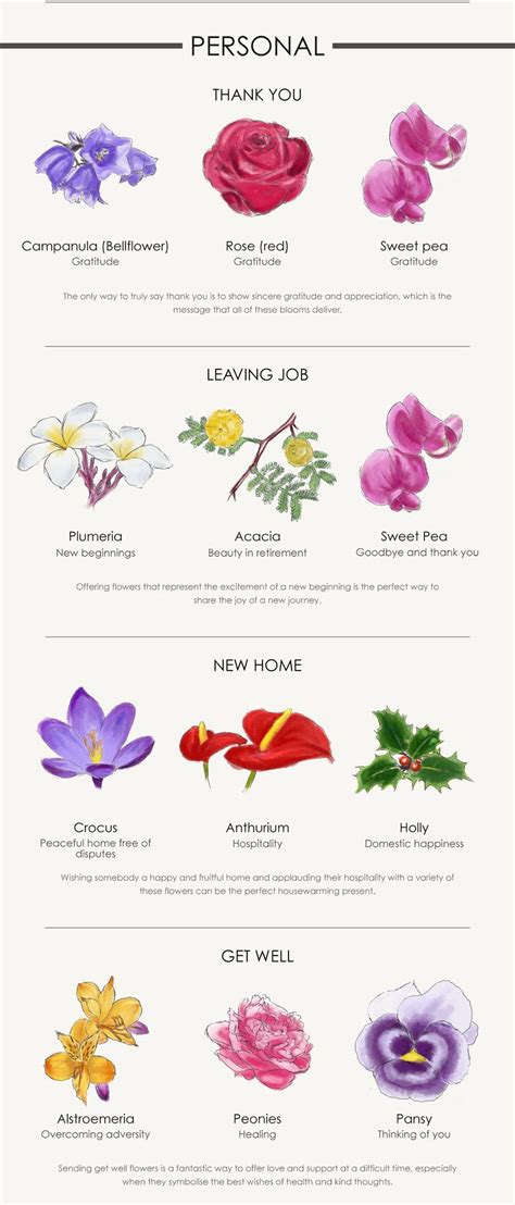 A Flower For Every Occasion Your Complete Guide Botanical Flowers