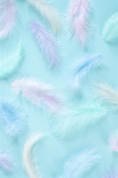 Feathers Multicolored Background In Pastel Colors Feathers Pattern
