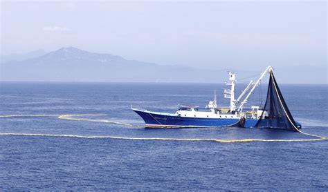 Sagarpa Anuncia Veda Temporal Para Pesca De Atún Comisión Nacional De