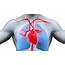 First Medicine To Reduce Cardiovascular Risk Gets FDA’s Approval 