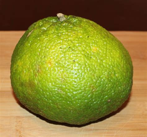 The ugli or ugli fruit is a jamaican form of tangelo, a citrus fruit created by hybridizing a grapefruit (or pomelo), an orange, and a tangerine.1. Ugli Fruit Tree - HubPages