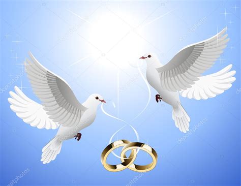 White Doves Holding Wedding Rings Vector De Stock 1638733 De