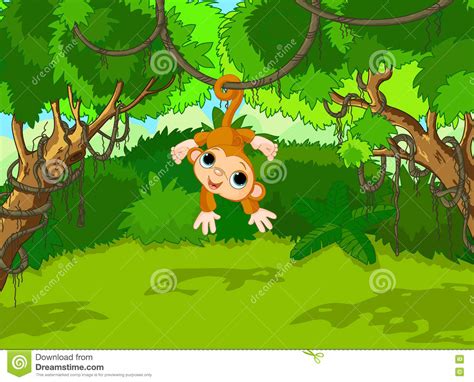 Baby Monkey On A Tree Stock Vector Illustration Of Jungle 76384868