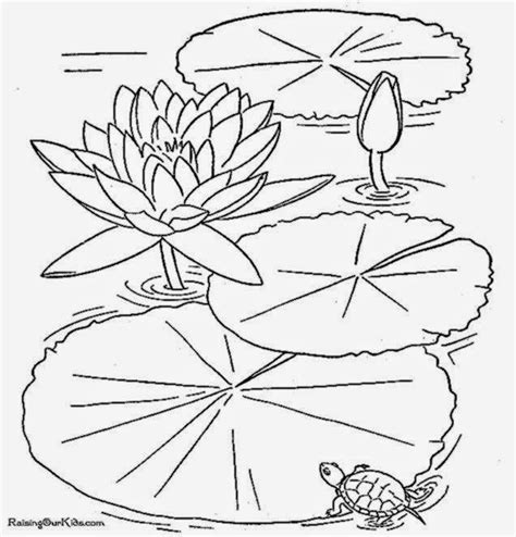 We did not find results for: find disney coloring pages - free printable flower ...