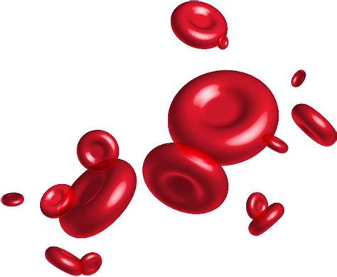 Red Blood Cell Clip Art Cell Clipart Stunning Free Transparent Png My