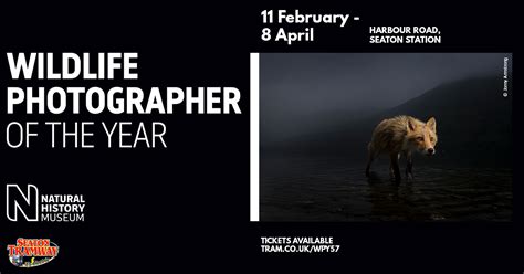 Wildlife Photographer Of The Year Exhibition