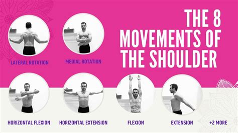 Shoulder Joint Movement Youtube