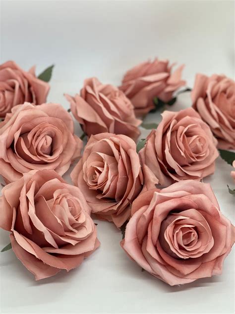 35 Deep Mauve Rose Dark Mauve Rose Mauve Pink Rose Etsy