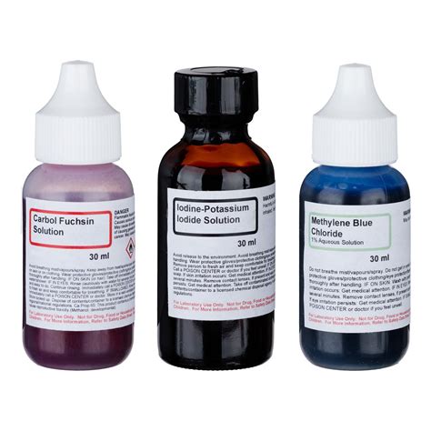 Economy Microscope Slide Staining Kit Includes 3 Stains Science Lab