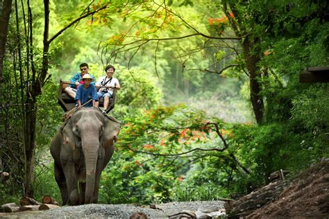 Adventurous Activities You Must Do In Thailand