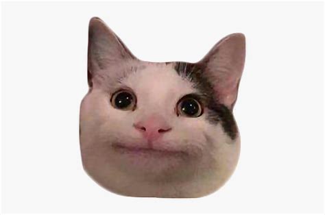 With these cat png images, you can directly use them in your design project without cutout. #meme #cat #polite #discord #freetoedit - Transparent ...