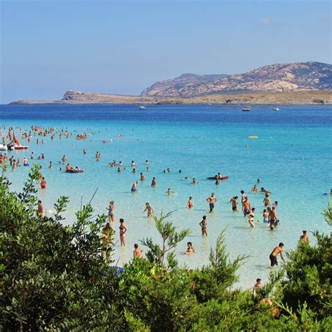 Plan to visit asinara, italy. Why you should visit Stintino and Isola dell'Asinara ...