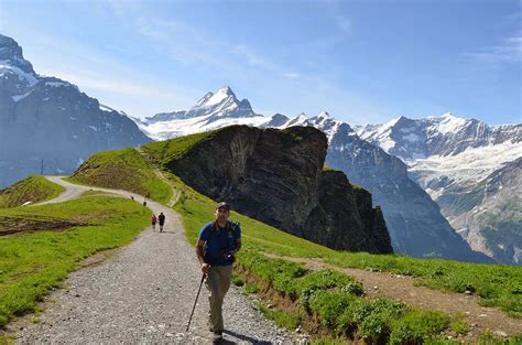 Wings Wide Open Hiking The Swiss Alps
