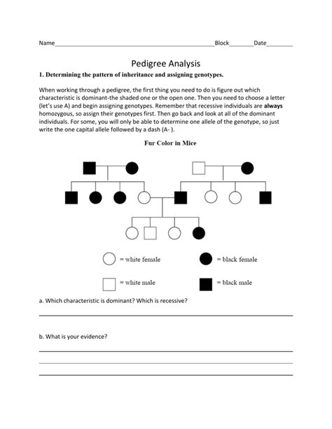 Pedigree Practice Worksheet With Answers