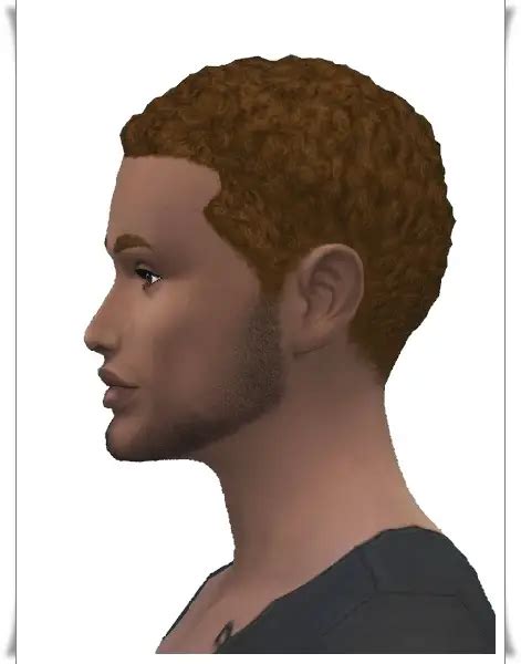 Birksches Sims Blog Holyday Short Afro Hair Retextured Sims 4 Hairs