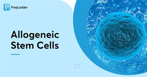 Allogeneic Stem Cells