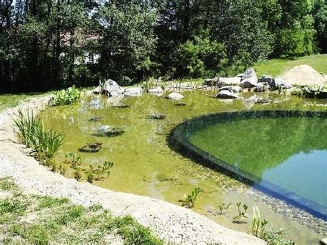 Ein swimming pool im garten ist in der anschaffung und im unterhalt nicht gerade billig. Wie viel darf ein Schwimmteich kosten? - Haus Dekoration ...