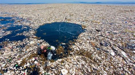 Plastik Fluch Oder Segen Tierschutz Tirol