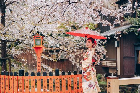 Japan Cherry Blossoms Hanami In Kimono With Nara Deer In Kyoto