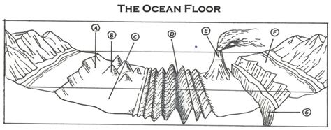 Ocean Floor Diagram Quizlet