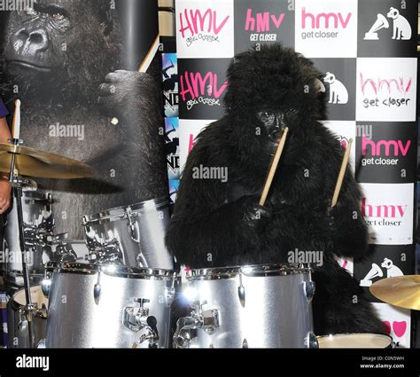 Cadburys Drumming Gorilla From The Cadburys Tv Advert Featuring The
