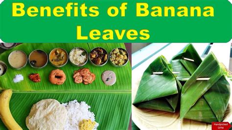 Unbelievable Health Benefits Of Banana Leaves By Handpicked Ofni