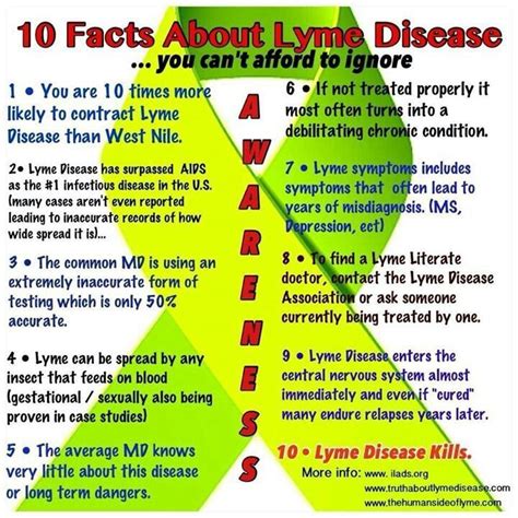 Loudoun Lyme 10k5k1k Raising Awareness For Lyme Disease